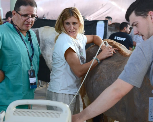 Treinamento Xeque-Mate - Equarter - Educação Continuada em Veterinária