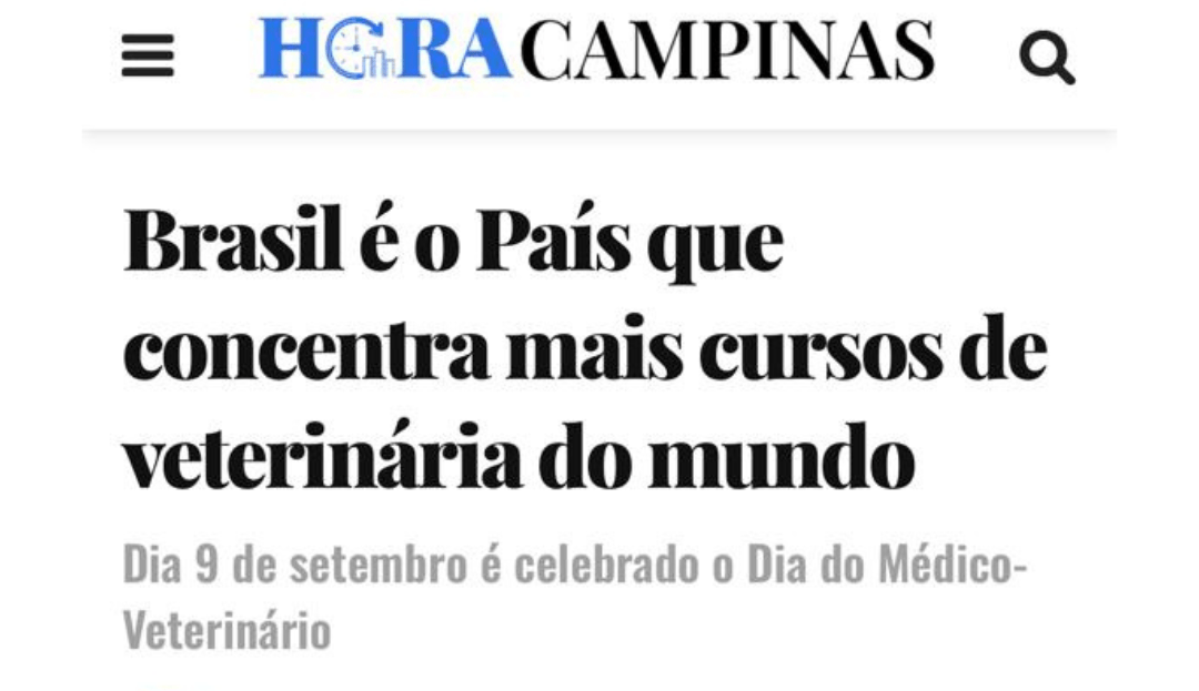 1 - Reportagem site