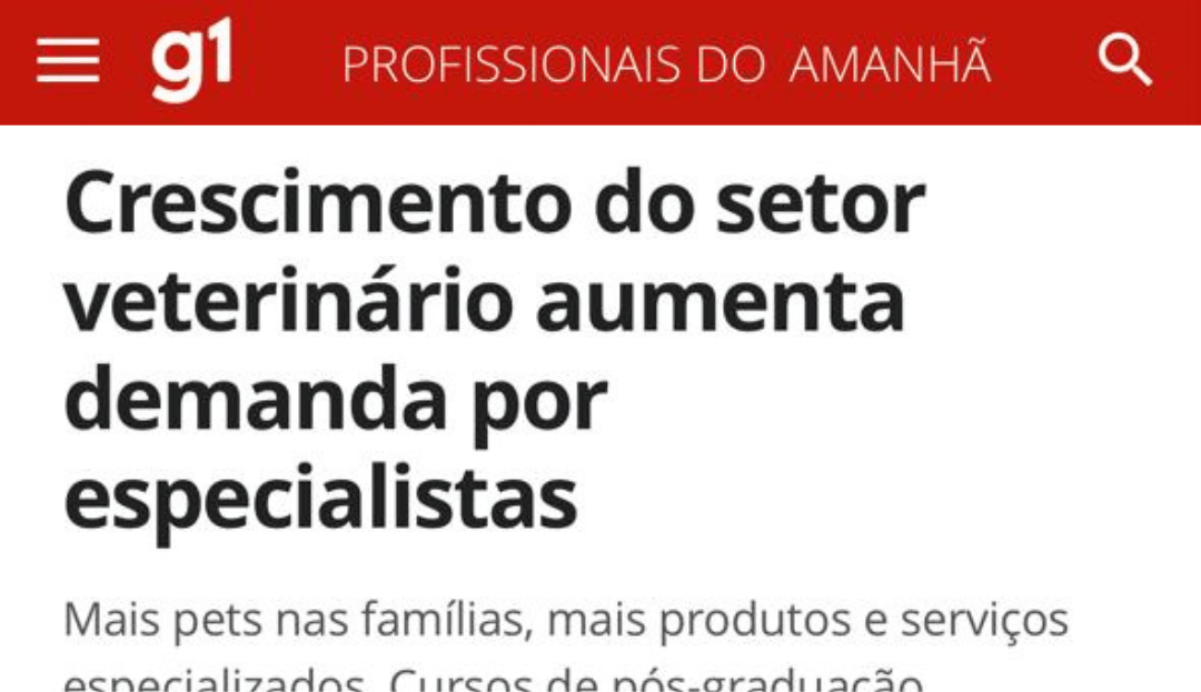 2 - Reportagem site