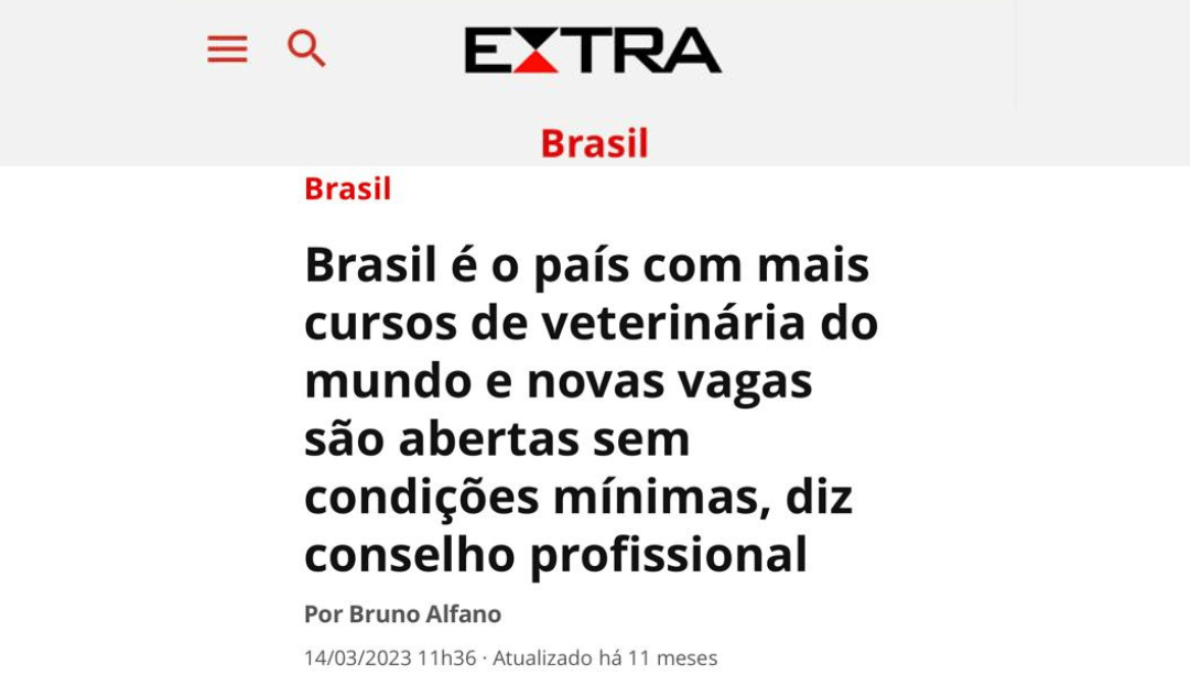 3 - Reportagem site