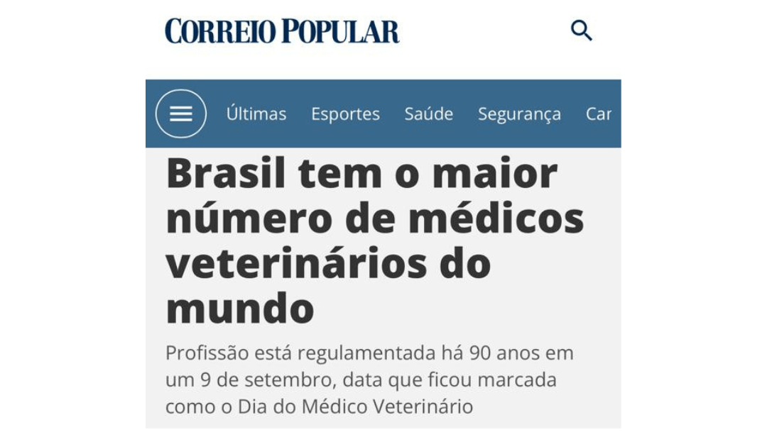 4 - Reportagem site